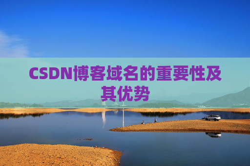 CSDN博客域名的重要性及其优势